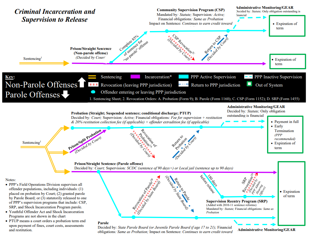 A flowchart picturing the path from criminal incarceration to SCDPPPS supervision to release. 